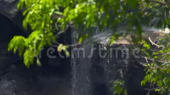 在雨林和绿树背景下山间瀑布中流淌着水流高山和绿色的瀑布视频的预览图