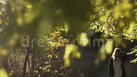 仙女森林里美丽的女孩视频的预览图