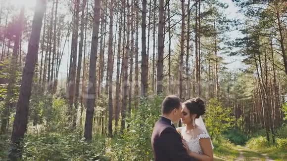 新娘和新郎温柔地拥抱在森林里的松树之间太阳结婚纪念日瞬间视频的预览图
