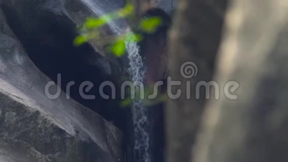 绿色丛林中的山瀑布水流山地湖泊热带森林中的石河流视频的预览图
