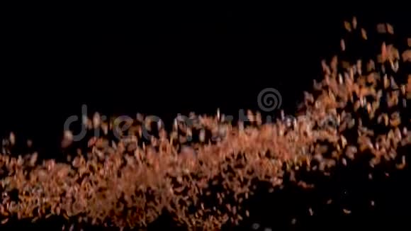 红米飞起落在黑色的背景上慢动作食物录像视频的预览图