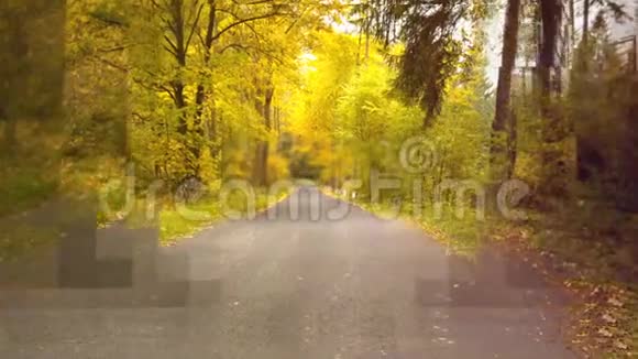 数字生成的带树道路视频视频的预览图