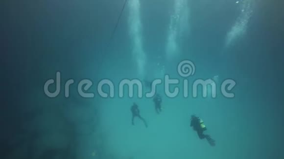 三名浸没潜水者费特文图拉卡那里群岛视频的预览图