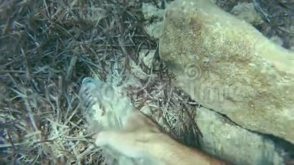 从海底收集塑料废物视频的预览图