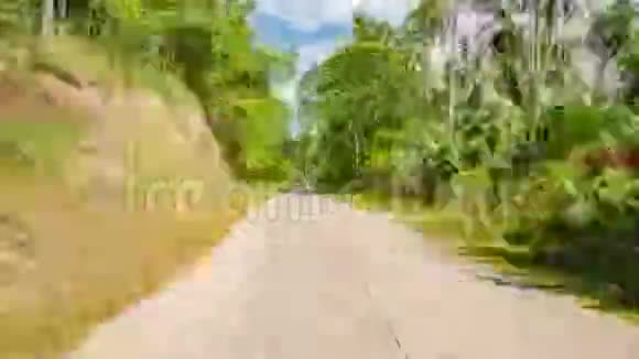 在泰国在热带街道上开着棕榈树的超光速行驶第一人称视角视频的预览图