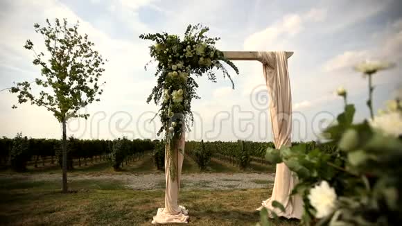 绿色葡萄园的婚礼弧形装饰视频的预览图