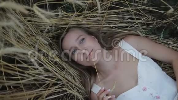 梦中女孩躺在金黄熟熟的麦田里视频的预览图