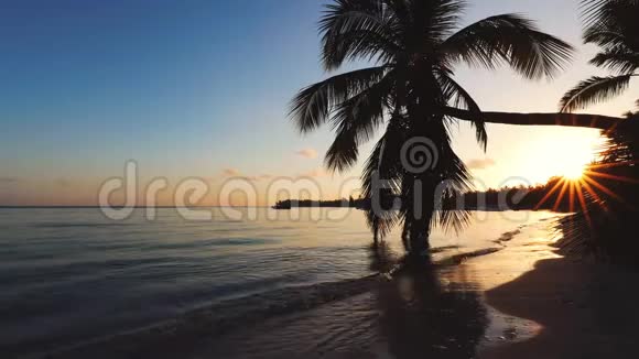 热带岛屿日出棕榈树叶和沙岛海滩美丽海景视频视频的预览图
