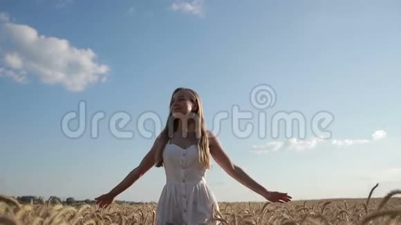 微笑的女孩走在麦穗里视频的预览图