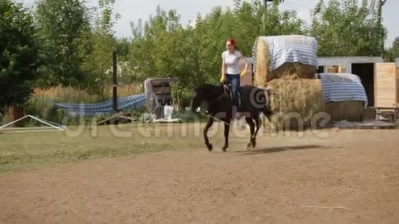 骑马女孩接受骑马训练马术慢动作视频的预览图