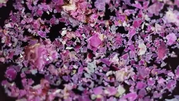 干燥的紫色花瓣在暗水表面波动视频的预览图