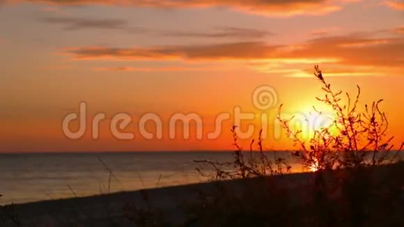 海滩和草地上的日落视频的预览图