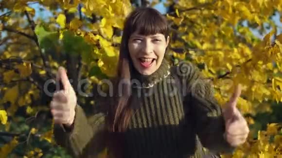 一位穿针织毛衣的年轻女子在黄树背景上的肖像视频的预览图