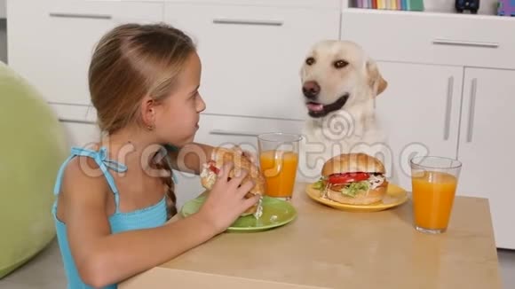 小女孩吃汉堡和她的狗共用桌子视频的预览图