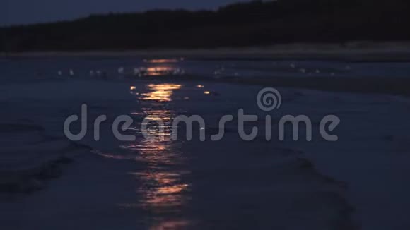 巨大的月亮用一条月光小径照亮大海4K专业镜头景观海鸥和视频的预览图