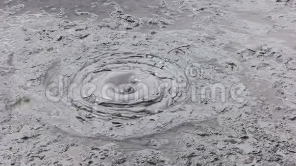 新西兰的沸腾泥浆视频的预览图