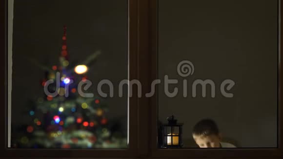 有趣的孩子在夜晚的窗户上小心圣诞老人来了圣诞树等待着盛大的庆祝活动概念视频的预览图