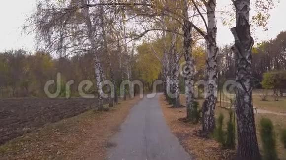 秋天公园人行道上的摄像机视频的预览图
