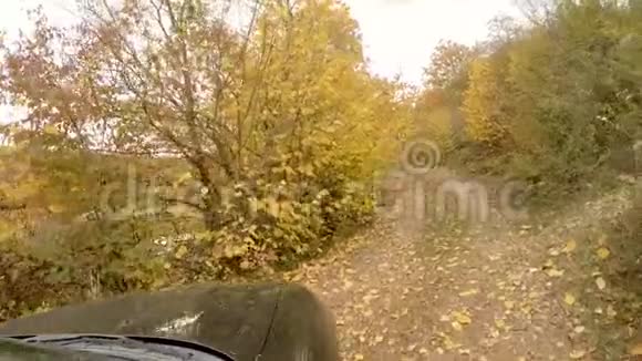 汽车正在秋天的森林里行驶视频的预览图