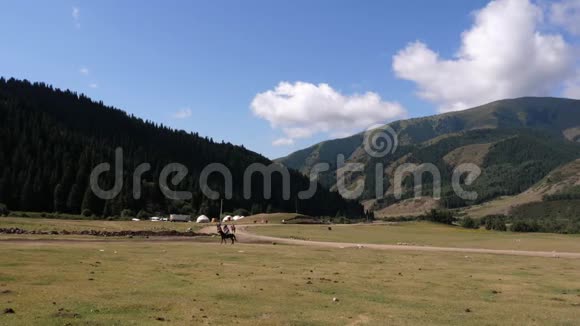 吉尔吉斯斯坦天山野马骑士视频的预览图