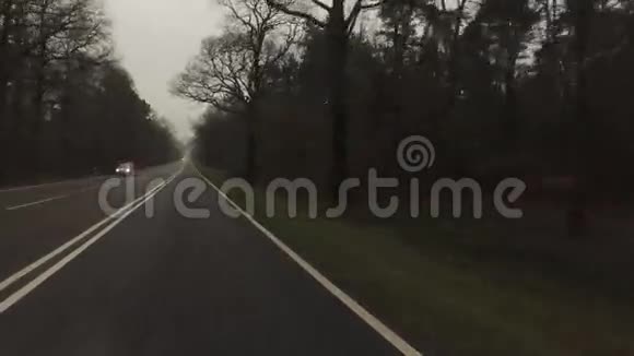 雾天森林里的路视频的预览图
