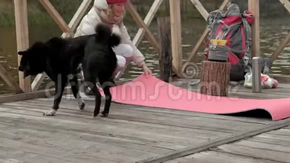 河岸附近桥上的一位女游客从背包里拿出东西铺上旅游地毯经营一只狗视频的预览图
