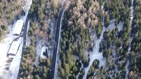 一辆汽车在穿过森林的道路上行驶下雪了晴天4K视频的预览图