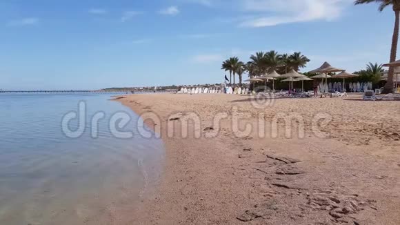 沙质海岸上透明的海浪视频的预览图