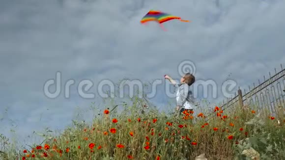 欢快的小男孩站在草地上在天空的背景下五颜六色的风筝视频的预览图