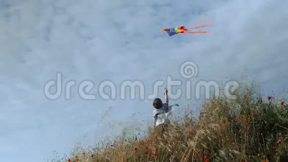 快乐的白种人小男孩站在草地上在蓝天上放着五颜六色的风筝视频的预览图