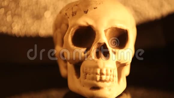 人类头骨头部放大视频的预览图