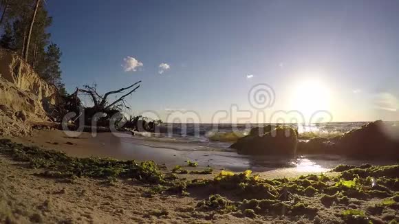 在森林海滩上日落视频的预览图