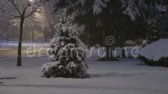 夜幕降临的冬日街灯伴着雪花飞舞的背景视频的预览图