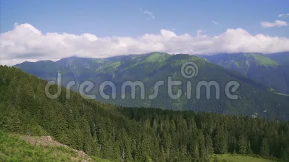 土耳其里泽的4kKackar山有绿色森林景观视频的预览图