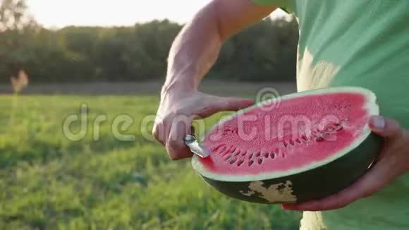 农民在有机农场割西瓜吃西瓜视频的预览图