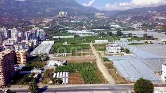 城市农业与温室的俯视图剪辑城市种植园全景有种植粮食的温室视频的预览图