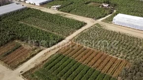 用于种植食品植物的小田的俯视图剪辑各种用于种植粮食植被的小地区视频的预览图