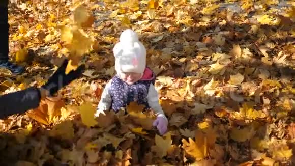 孩子们在秋天公园玩一个小女孩躺在一堆黄色的叶子里叶子倒在她的上面快乐视频的预览图