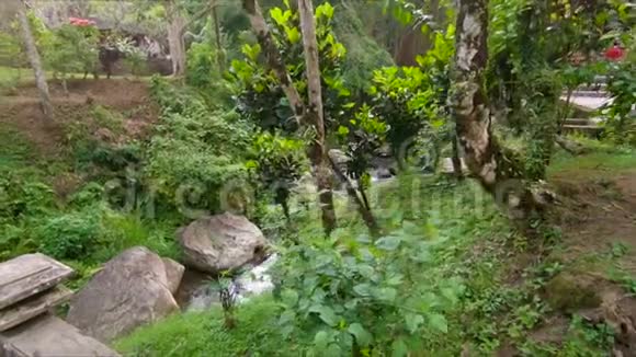 巴厘岛GunnungKawi寺庙周围公园一条热带小河的慢镜头视频的预览图