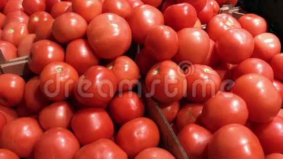 新鲜的有机的手工采摘的成熟番茄在路边的农场市场出售视频的预览图