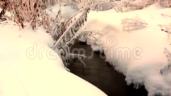 冬天的拉文有霜冻的植物视频的预览图