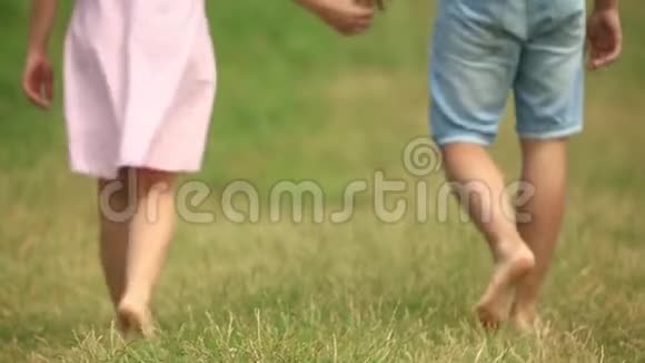 一对夫妇牵着手穿过田野背面视频的预览图