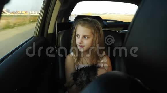车里的小女孩带着狗看着窗外视频的预览图