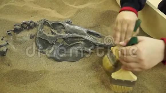 儿童幼古生物学家挖掘恐龙骨架视频的预览图