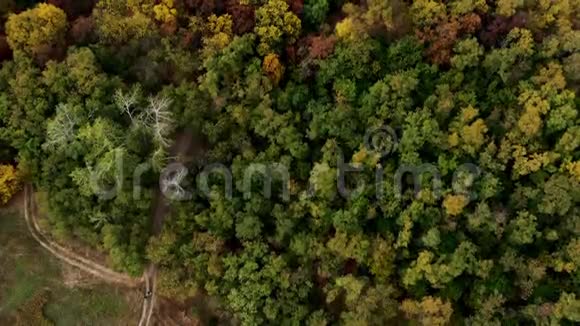 秋天森林和河流的无人机的景观视频的预览图