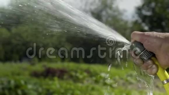 成熟男人用水管缓慢地浇灌花园视频的预览图