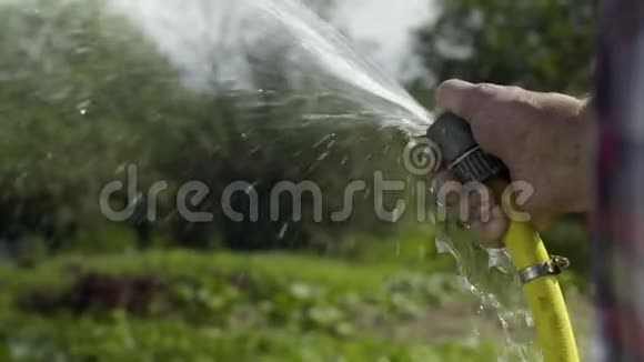 老人用水管缓慢地在院子里浇水视频的预览图