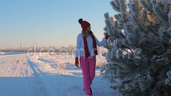 女人在冬天的雪道上行走被霜冻的树木之手抚摸视频的预览图