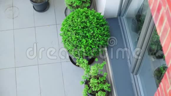 带植物的阳台俯视图视频的预览图