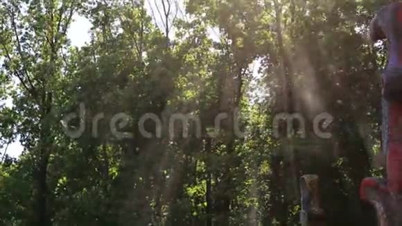 喷泉中的小水滴在树和阳光之间随风而飞视频的预览图